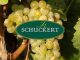 schuckert 600x300