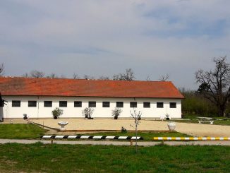 cropped Gestüt Schönfeld Pferd Körper Geist Seele