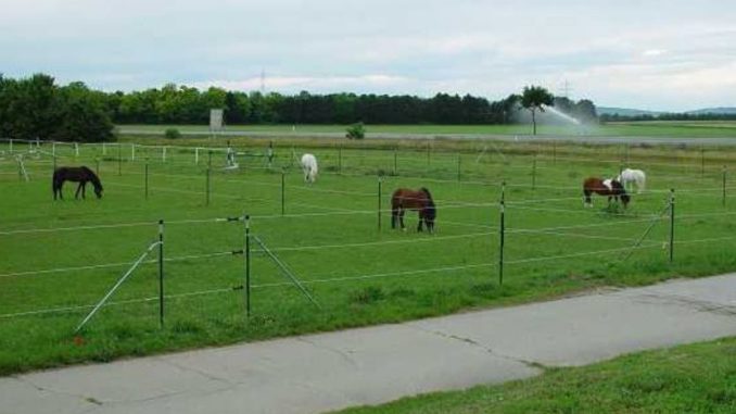 cropped Reiterhof Aderklaa