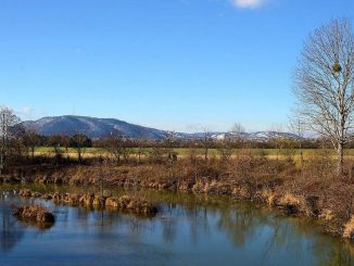 Marchfeldkanal: Wasser für die heimische Kornkammer