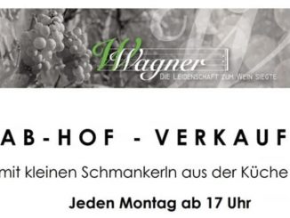 Weingut Wagner in Prottes1