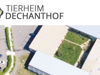 Tierheim Dechanthof