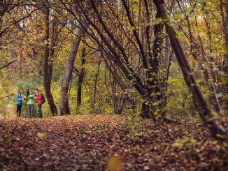 nationalpark donau auen oktober