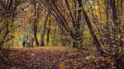 nationalpark donau auen oktober