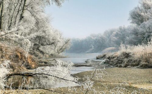 Nationalpark Donau Auen Winterlandschaft2