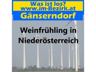 Weinfruehling1