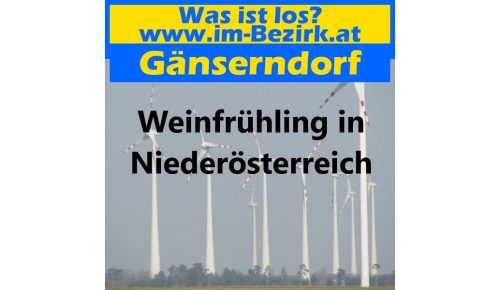 Weinfruehling1