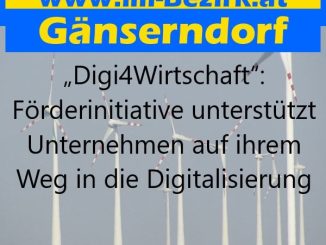 Digi4Wirtschaft 07 22 min