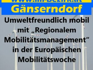 mobilitaetsmanagement min