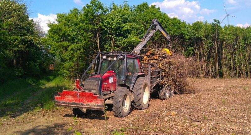 Holzschlägerung und Holzbringung Göschl Michael