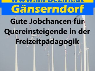 Quereinsteigende in der Freizeitpaedagogik min