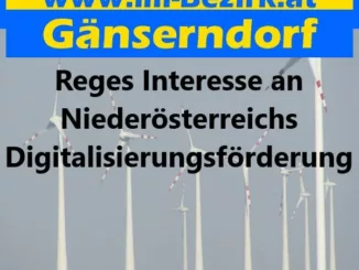 Digitalisierungsfoerderung min