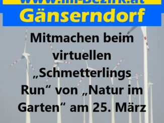 schmetterlingsrun min