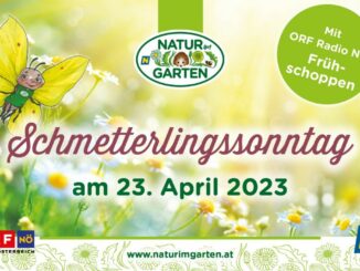 schmetterlingssonntag web 3e164c8d min