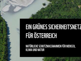 2024 Natuerliche Schutzmassnahmen Lech c Vorauer min