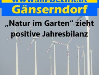 Natur im Garten zieht positive Jahresbilanz min