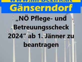 Pflege und Betreuungsscheck 2024 min