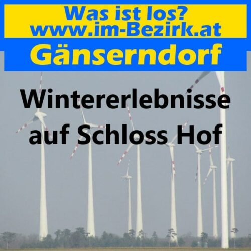 Wintererlebnisse auf Schloss Hof min