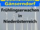 Fruehlingserwachen in Niederoesterreich min