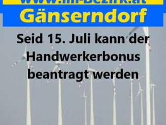 Kann der Handwerkerbonus beantragt werden min