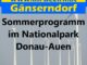 Sommerprogramm im Nationalpark Donau Auen min