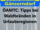 Tipps bei Waldbraenden in Urlaubsregionen min