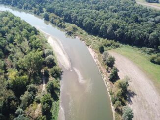 Renaturierung: WWF zeigt hohes Potenzial an der March