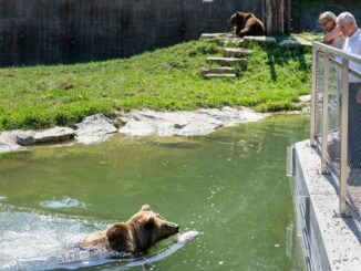 Top-Ausflugsziel Tierpark Haag begeistert mit abwechslungsreichem Angebot