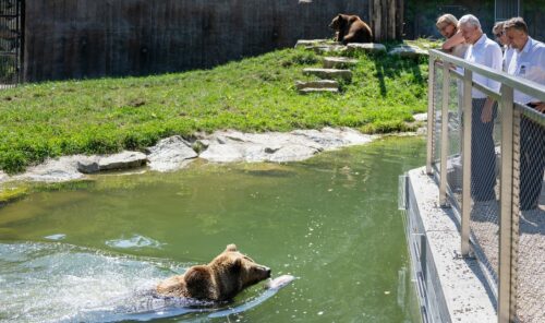 Top-Ausflugsziel Tierpark Haag begeistert mit abwechslungsreichem Angebot