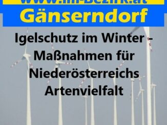 Igelschutz im Winter - Maßnahmen für Niederösterreichs Artenvielfalt