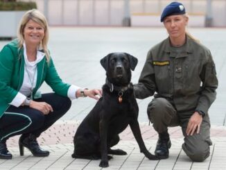 Bundesheer: Arbeitgeber für 227 Tiere