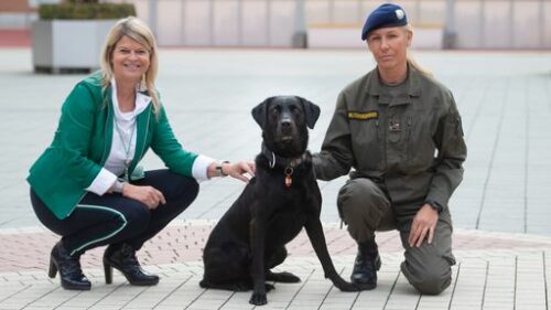 Bundesheer: Arbeitgeber für 227 Tiere