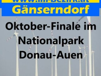 Oktober-Finale im Nationalpark Donau-Auen