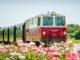 Waldviertelbahn - Nostalgiegarnitur mit Diesellok