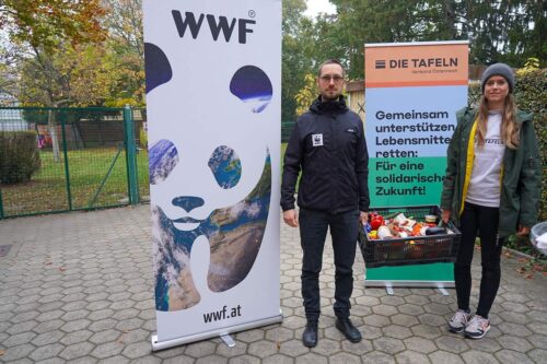 WWF und DIE TAFELN fordern Maßnahmenpaket gegen Lebensmittel-Verschwendung